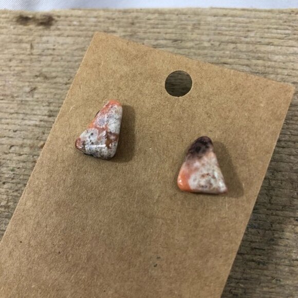 Fossilized Coral Jasper Earrings - Picture 1 of 4
